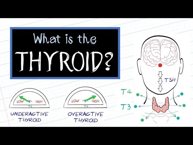 What is Thyroid Disease? (HealthSketch)