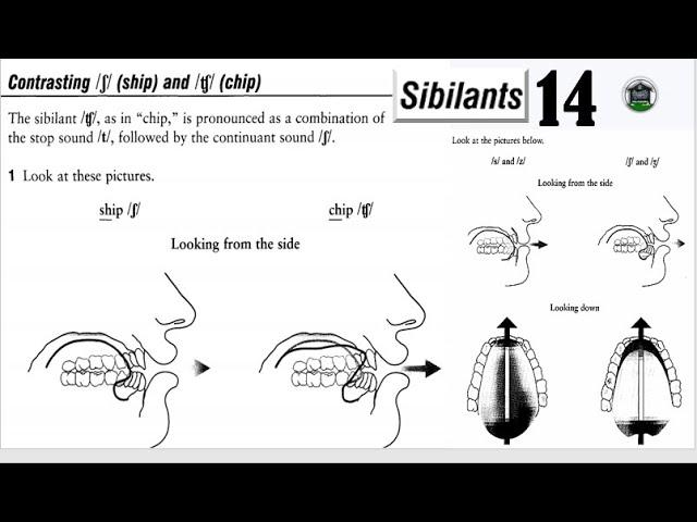 Mastering Sibilants in English Pronunciation | contrasting voiceless sibilants #english #learn