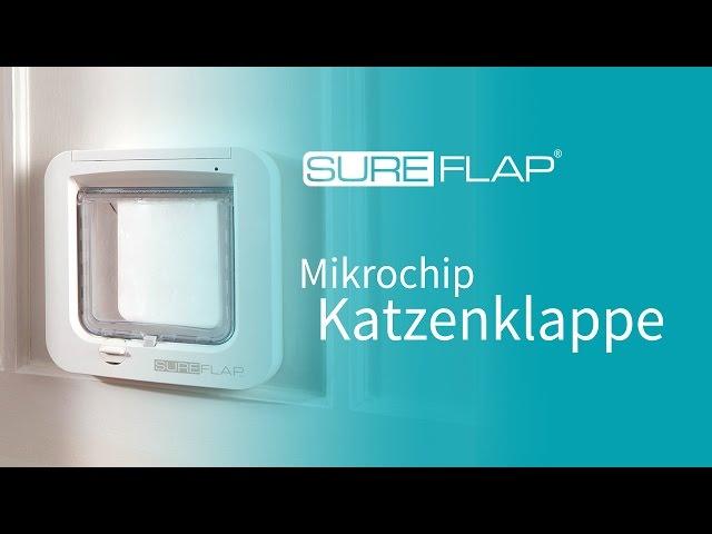 Registrieren Ihrer Katze in die SureFlap Mikrochip Katzenklappe