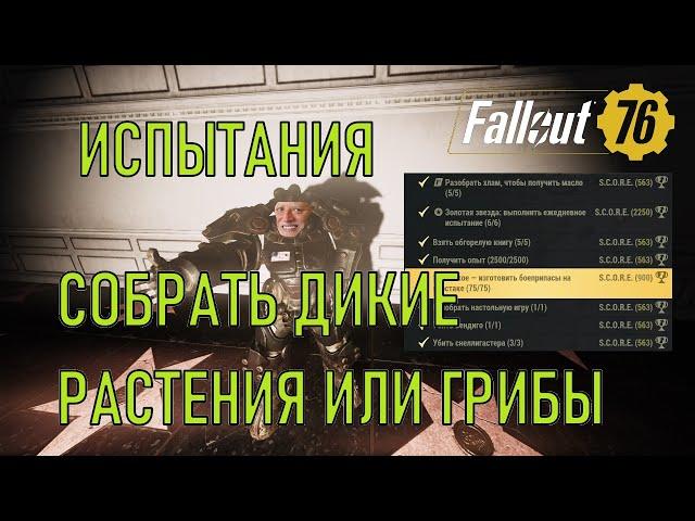 Fallout 76 Собрать дикие растения или грибы