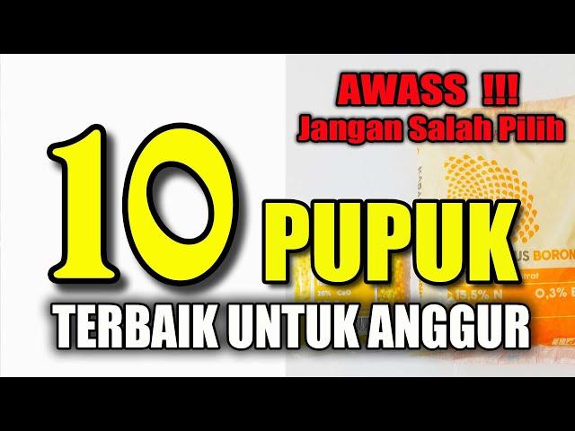 10 JENIS PUPUK TERBAIK UNTUK TANAMAN ANGGUR. Membesarkan Batang Dan Melebatkan Buah Anggur.