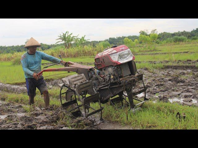 TYPE BARU  !! Hand Tractor Yanmar TF85 NLdi - Traktor G1000 Boxer