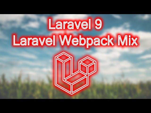 Laravel 9 -  How to use Laravel Webpack Mix