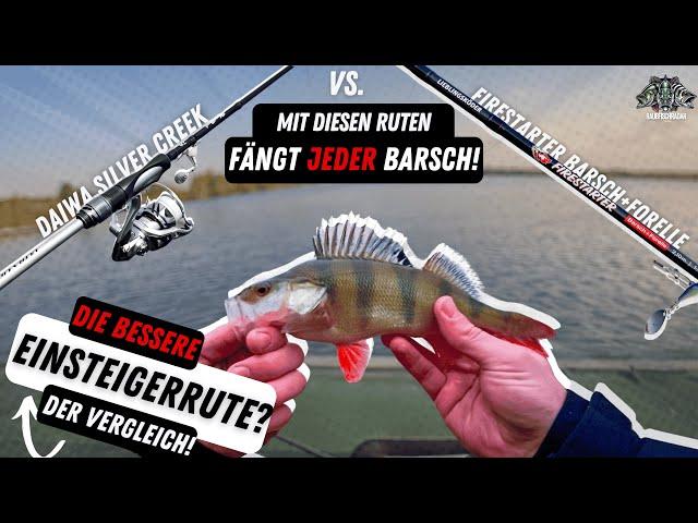 Diese Einsteiger Barsch-Ruten MUSST du kennen! | Daiwa Silver Creek UL vs. Firestarter B+F | Angeln