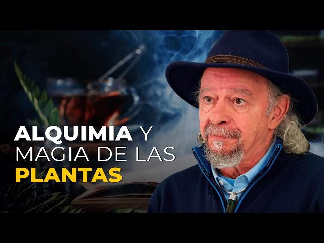 Entrevista a Juan Plantas: El Hombre que Descifró el Lenguaje Secreto de la Naturaleza 