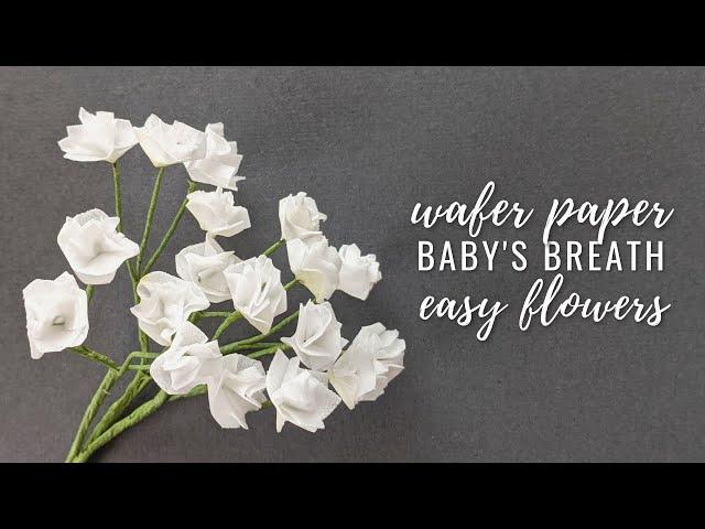 How to make Baby's breath (Gypsophila) flowers using wafer paper | NO CUTTERS | Florea Cakes