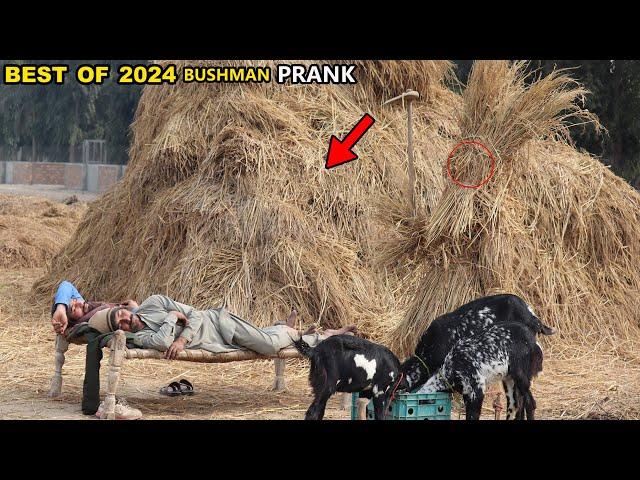 Scare Bushman Prank Of 2024! Epic Reactions Best BUSHMAN Gags Video LOL