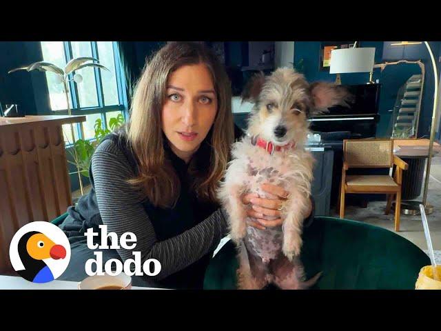 Chelsea Peretti Goes On a Dodo Dream Date | The Dodo