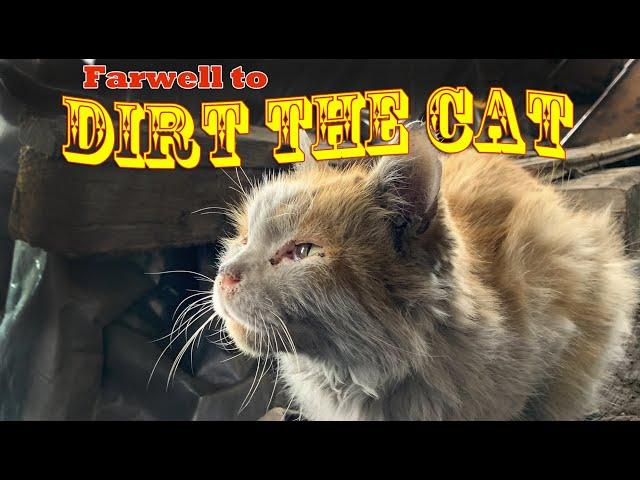 Farewell to Dirt the Cat on the Nevada Northern Railroad