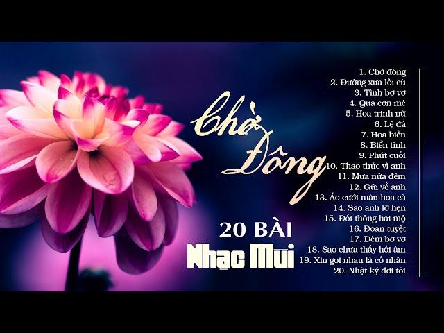 20 Bài Nhạc Mùi Nghe Ghiền Mãi Không Quên - LK Nhạc Vàng Hải Ngoại Chờ Đông, Đường Xưa Lối Cũ