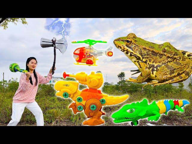 Changcady and the giant frog, found the thunder hammer, alligator toys, assembled dinosaurs Part 333