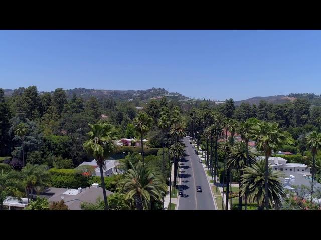 beverly hills street with palm trees