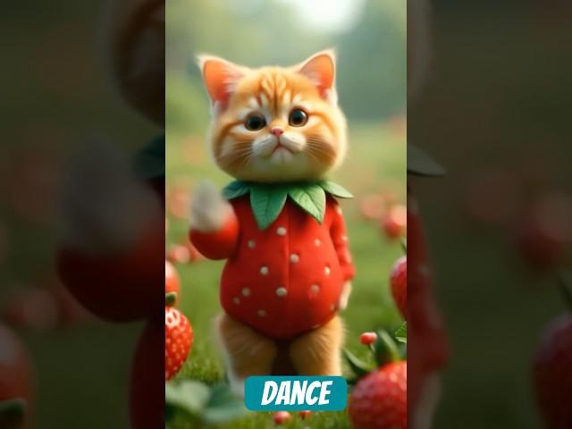 Cat dance #cats #cat #cathycat #cute #cattitude #catshorts #funny #catsy #catlover #cattyandfriends