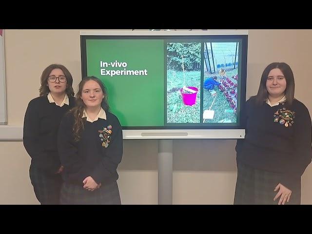 BTYSTE 2024 - Best Group