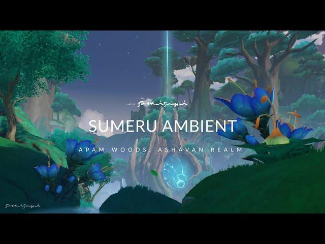 Sumeru Ambient: Apam Woods Background Music Forest Sound (40 Min) | Genshin Impact