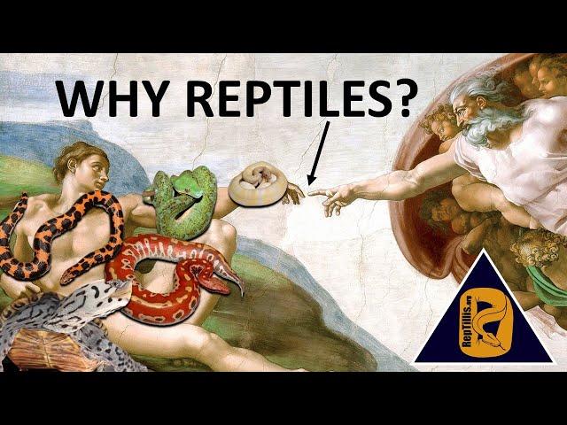 (S1E1): Why Herpetoculture?