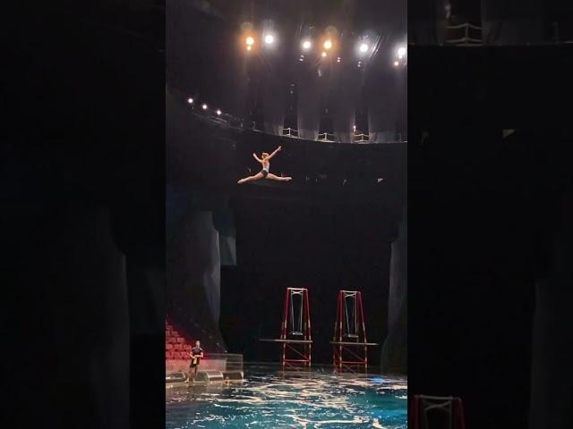 Flyyyyy 🫣 would you Jump? #circus #dive #acrobat Performer: Julie