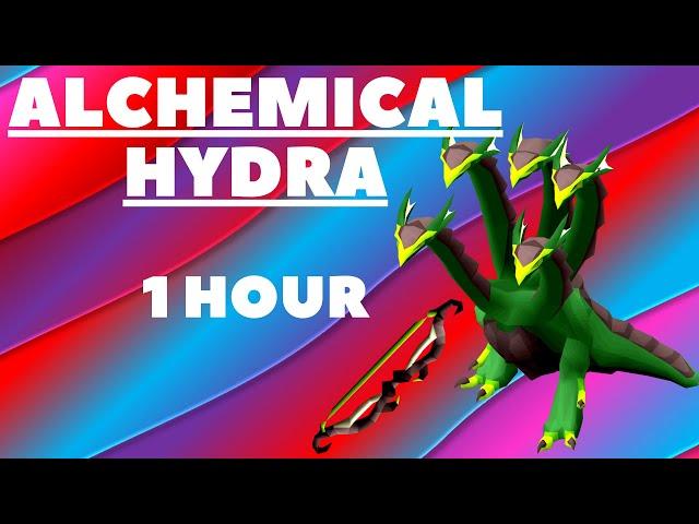 alchemical hydra guide osrs with Twisted bow 1 hour recorded