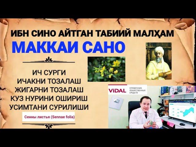 ТАББИЙ МАККАИ САНО ИБН СИНО ТАВСИЯ ҚИЛГАН МАЛҲАМ ХАҚИДА БИЛИНГ ХАТТО РОССИЯ ТАН ОЛГАН Сенны листья