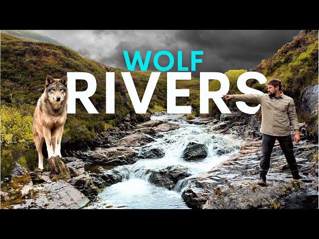 How Wolves Will Restore Britain's Rivers