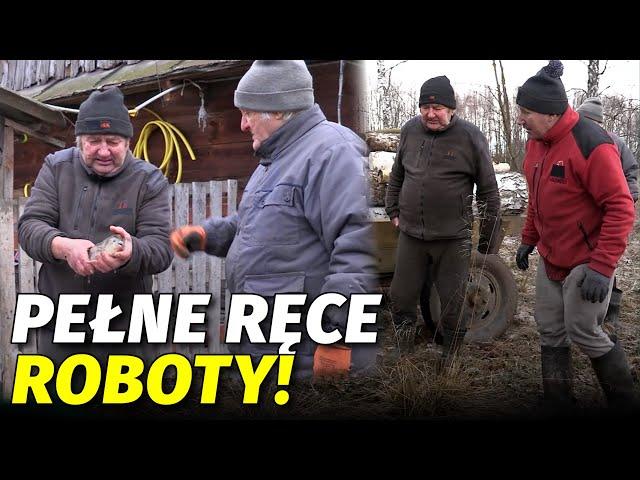 ROBOTA PALI SIĘ W RĘKACH. DREWNA WYSTARCZY NA CAŁĄ ZIMĘ? | Rolnicy Podlasie