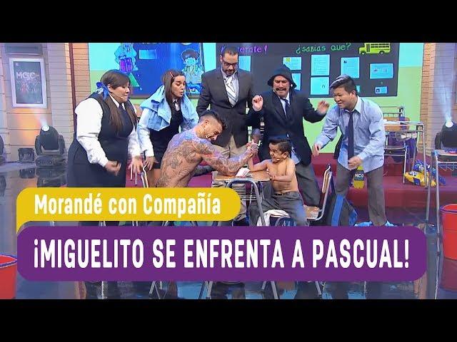 ¡Miguelito se enfrenta a Pascual! - Morandé con Compañía 2017