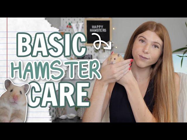 Basic Hamster Care 