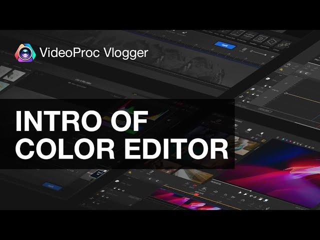 Color Editor Walk-Through in VideoProc Vlogger : Color Adjustment, Histogram and MORE