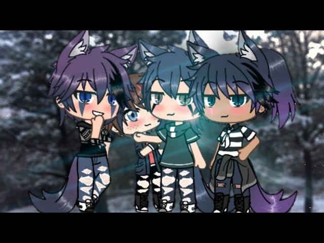 My Tall Vampire Wolves Part 2/ Gay Gacha Life Glmm