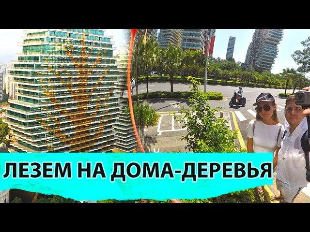 Хайнань. Как попасть на ДОМА-ДЕРЕВЬЯ ???