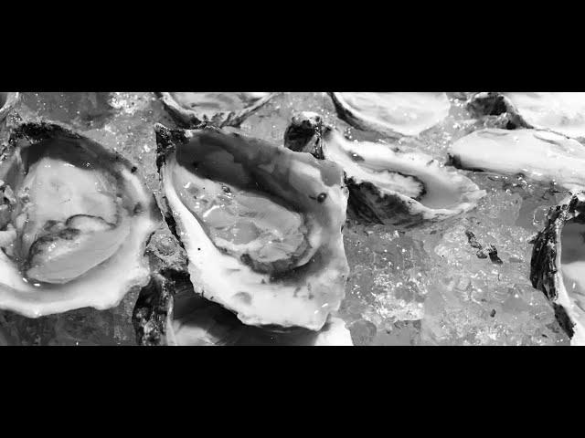 Oyster Harvest and Restoration History in the Chesapeake