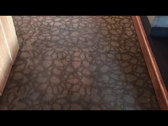 Commercial Carpet Cleaning Services Denver