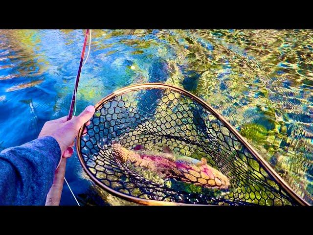 Almost Every Cast (Fly Fishing for Trout in a Crystal Clear Stream)