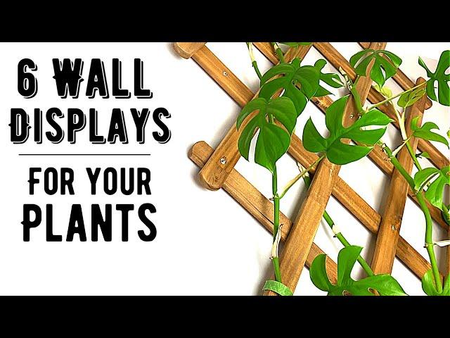 6 Ways To Display Houseplants On Your Walls