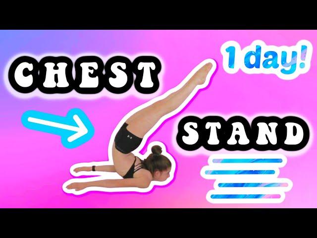 How to get your CHEST STAND in ONE Day!