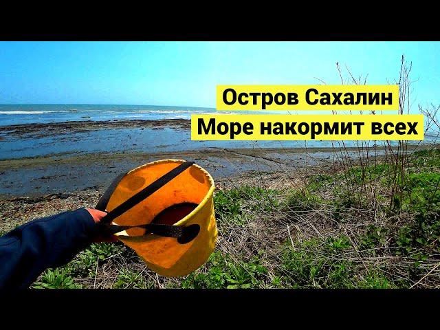 Остров Сахалин. Море накормит всех // Sakhalin island. The sea feeds everyone (Eng Subs)