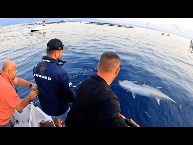 200 Kilo Balık Yakaladık / Giant Bluefin Tuna Catch