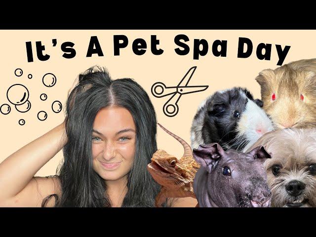 Let’s Give My Pets A SPA Day!!! (It was a MESS)