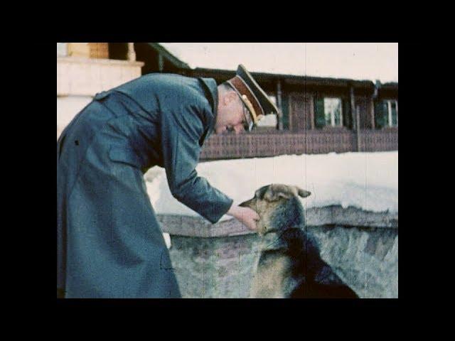 Hitler's Dog Blondi