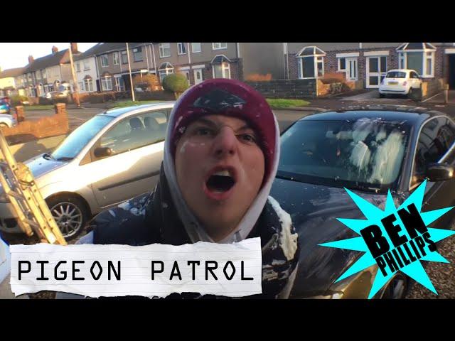 Ben Phillips | Pigeon Patrol - a cow had C*mmed on my car! - PRANK