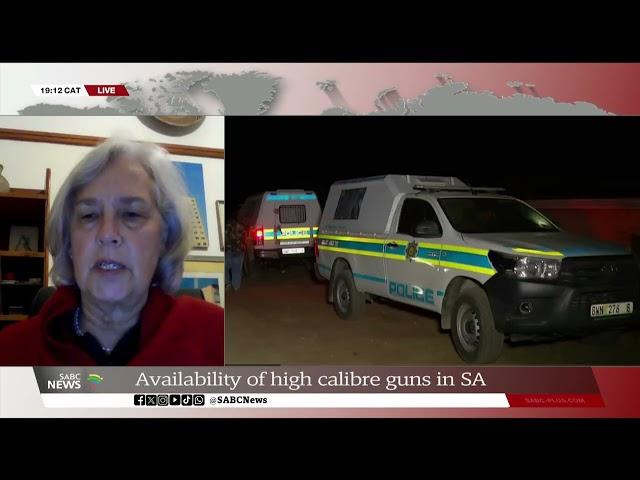 Police praised for fighting criminals: Adèle Kirsten weighs in