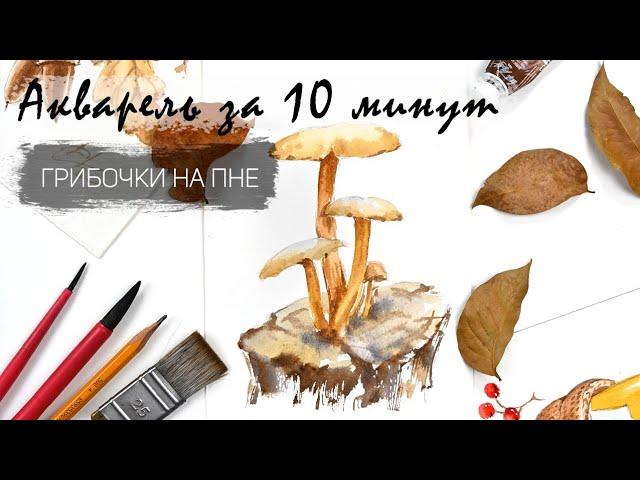 Рисуем грибы на пне акварелью за 10 минут. Быстрые зарисовки. Акварель для новичков