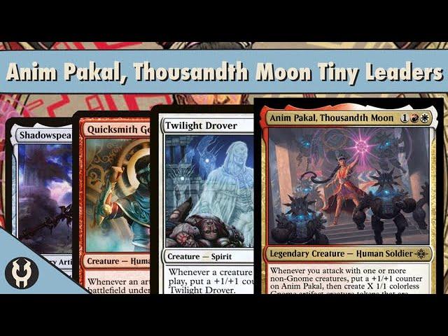 Anim Pakal, Thousandth Moon Tiny Leaders