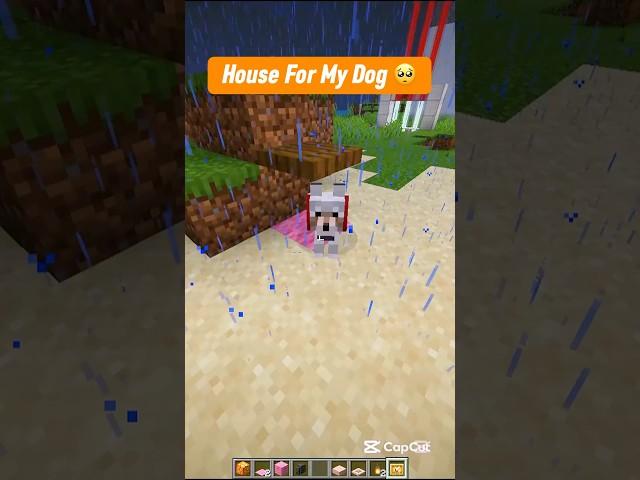 Minecraft House For My Dog  #shorts #minecraft