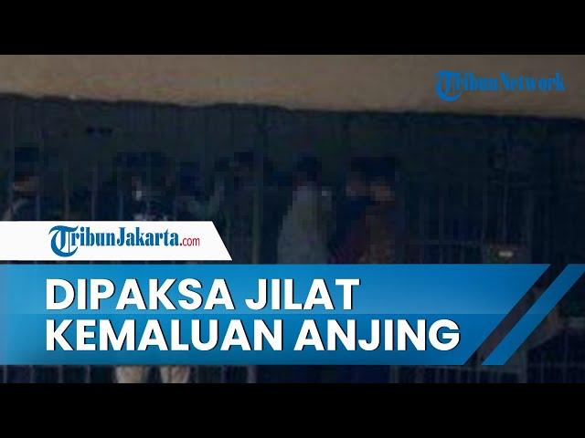 Penyiksaan Keji di Kerangkeng Bupati Langkat Terbit Rencana, Korban Dipaksa Jilat Kemaluan Anjing