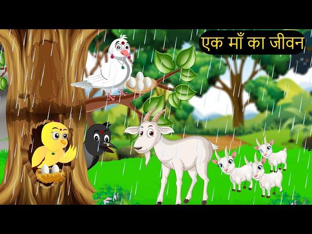 कार्टून | Tuni Chidiya Ka Ghar | Minu | Rano Chidiya wala cartoon | Hindi New Chidiya | Chichu TV