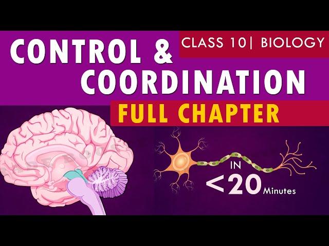 #controlandcoordination full chapter | cbse Class 10th Biology | NCERT class 10 science chapter 7