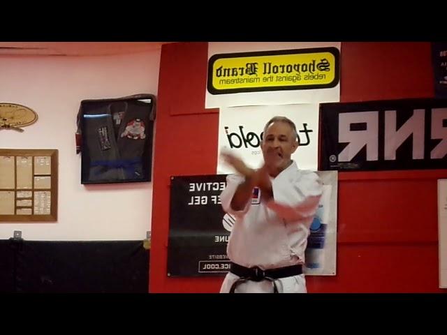 Bunkai 11-20, Matsumura Seito Shorin Ryu Karate Jutsu