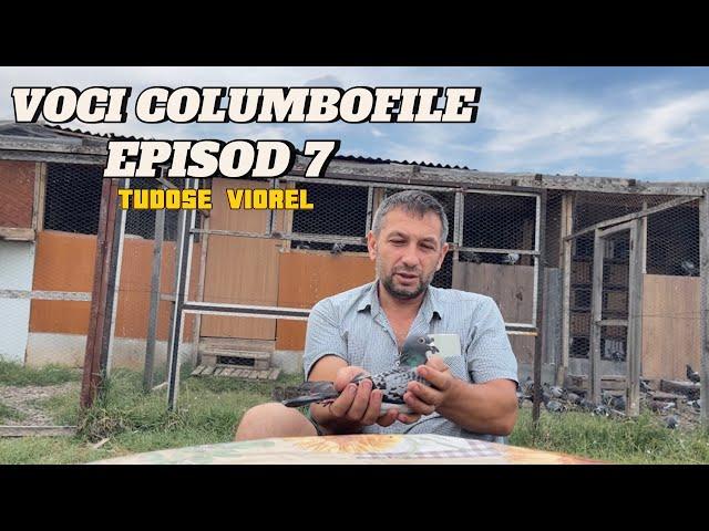 Voci Columbofile - Episod 7 - Tudose Viorel - Buzau / Costesti