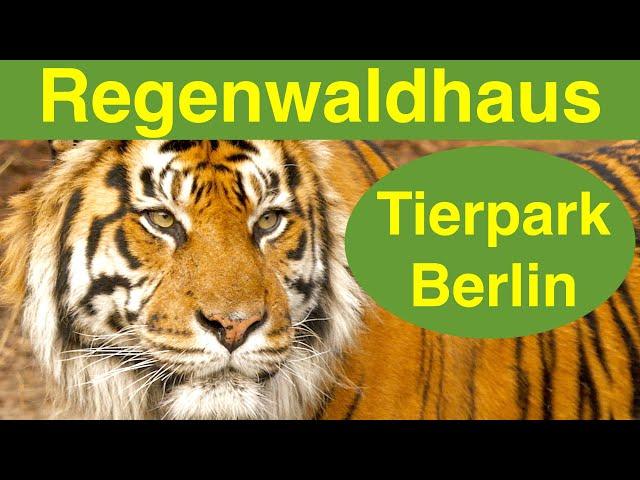 Regenwaldhaus im Tierpark Berlin(moderiert)